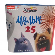 Фейерверк, салют TKB531_ТК Сервис_Мульт 25 25*0,8_16/1 в Казани