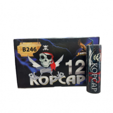 В246_Волк_Корсар12 25гр_30/6/1