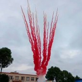 СУ0502512R_Пирофф_Дневная батарея салютов красная веер 25*1,2(треск+свист)_4/1