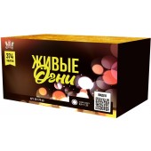 SB179_Сибирь_Живые огни 374*0,8-1-1,25 (A+В)_1/2