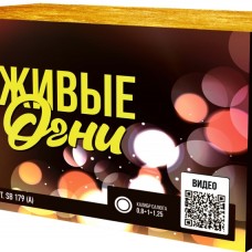 SB179_Сибирь_Живые огни 374*0,8-1-1,25 (A+В)_1/2