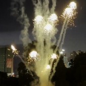 ФЛ0906_Пироф_Летающий фейерверк Медуза (золото)_20/1