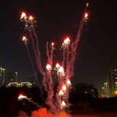 ФЛ0906R_Пироф_Летающий фейерверк Медуза (красный)_20/1